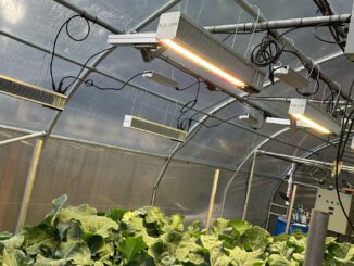 grow lighting FAQ crop lighting installation