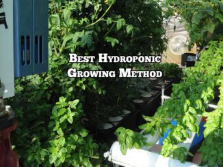 best hydroponic growing method