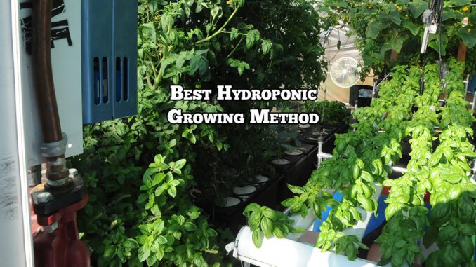 best hydroponic growing method