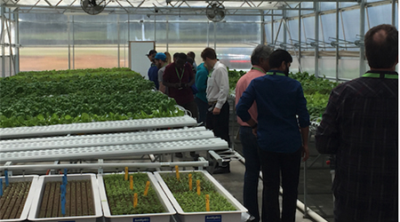 amhydro greenhouse growers courses