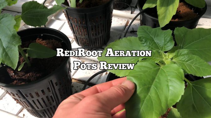 rediroot-aeration-pots-review