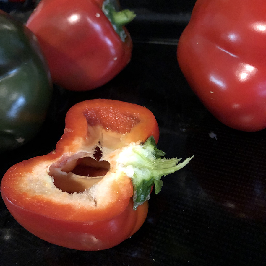 fresh hydroponic red pepper