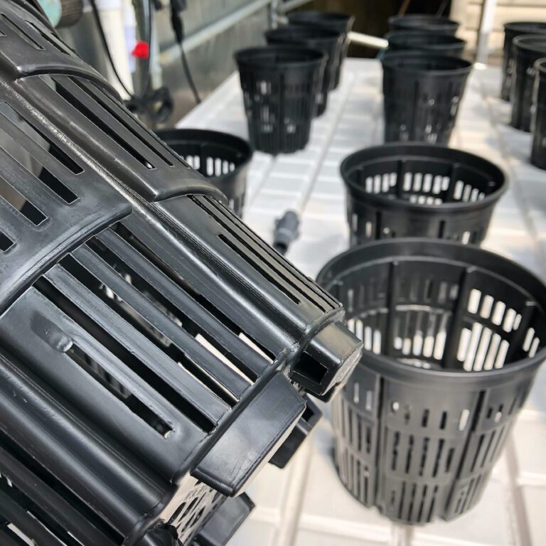 Rockwool Grow Tips GROZINE