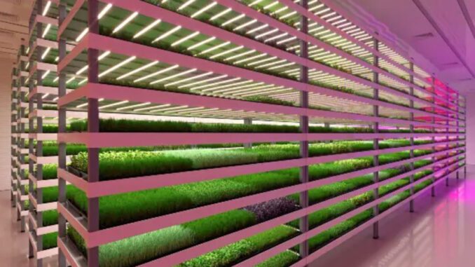 humanity depends on vertical farming