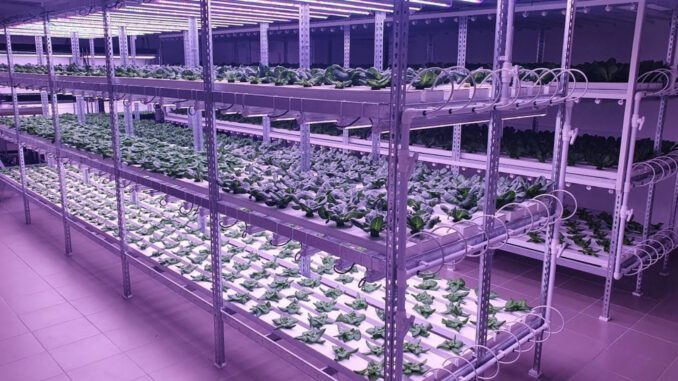 plant protection vertical farming