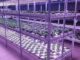 plant protection vertical farming