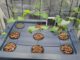 small scale aeroponics
