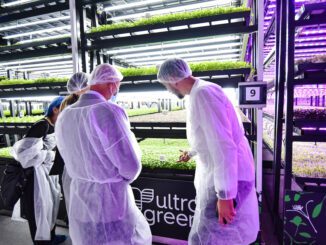 vertical farms Europe