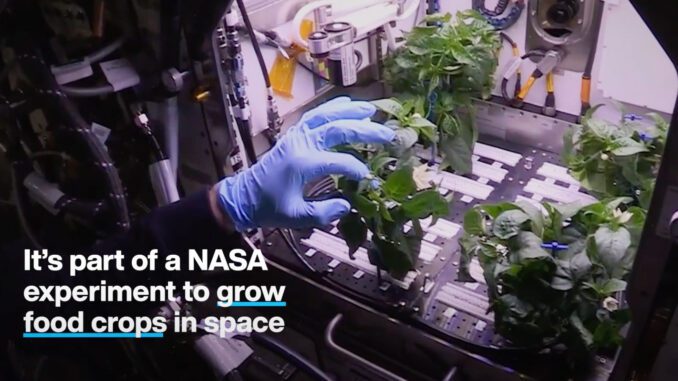 food crops in space