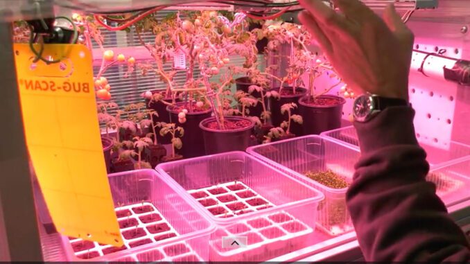 growing food in space
