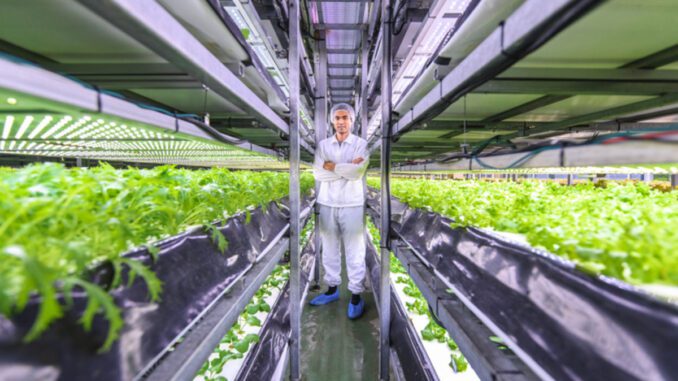 indoor farming technology Denmark