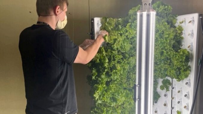 hospitals hydroponic growing