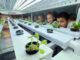 hydroponics education program growing