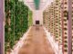 growframe vertical farms