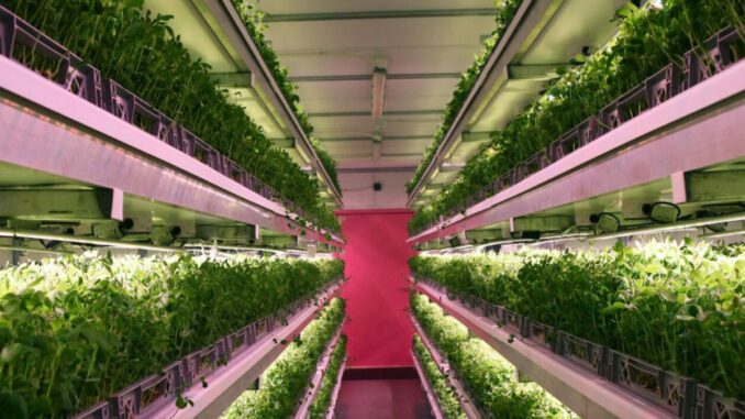 small scale vertical farming uk