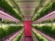 small scale vertical farming uk