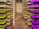 world record indoor farm