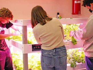 hydroponics teaching agriculture