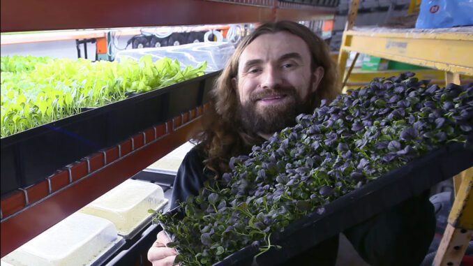 restaurant-indoor-farming restaurant indoor farming