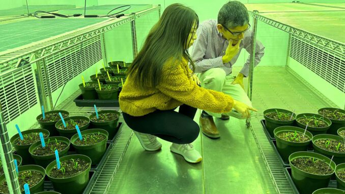 food-&-solar-energy-production food & solar energy production