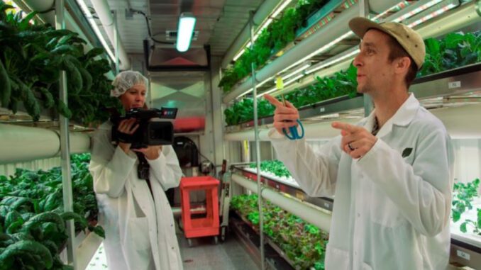 growcer-modular-vertical-farm growcer modular vertical farm
