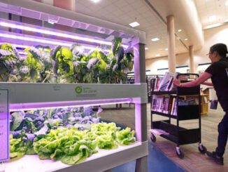 library hydroponics class