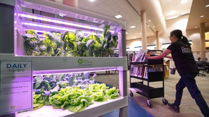 library hydroponics class
