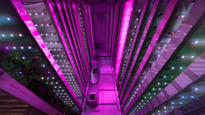 vertical farming experts interview