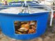 aquaponics biogas production