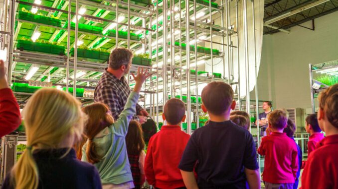 empty offices to vertical farms