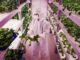 grunwald slams vertical farming