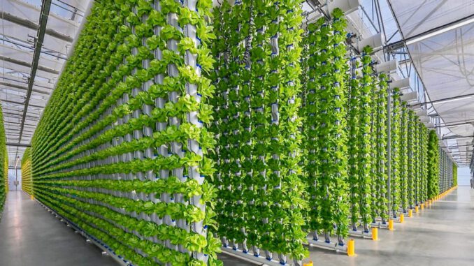 vertical-greenhouses vertical greenhouses