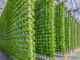 vertical greenhouses