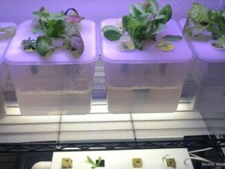 3d printed hydroponics