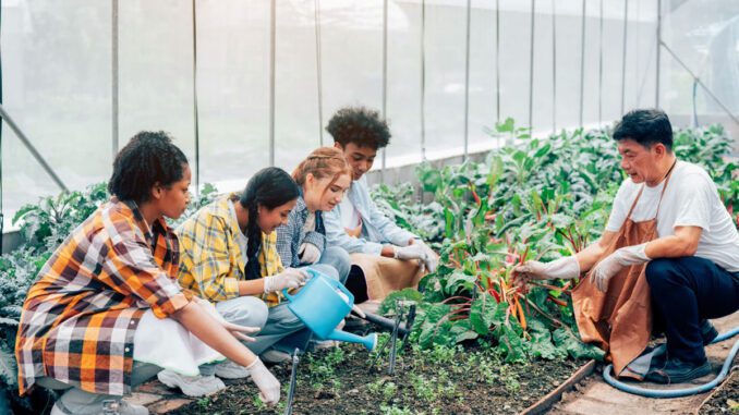 hydroponic agriculture