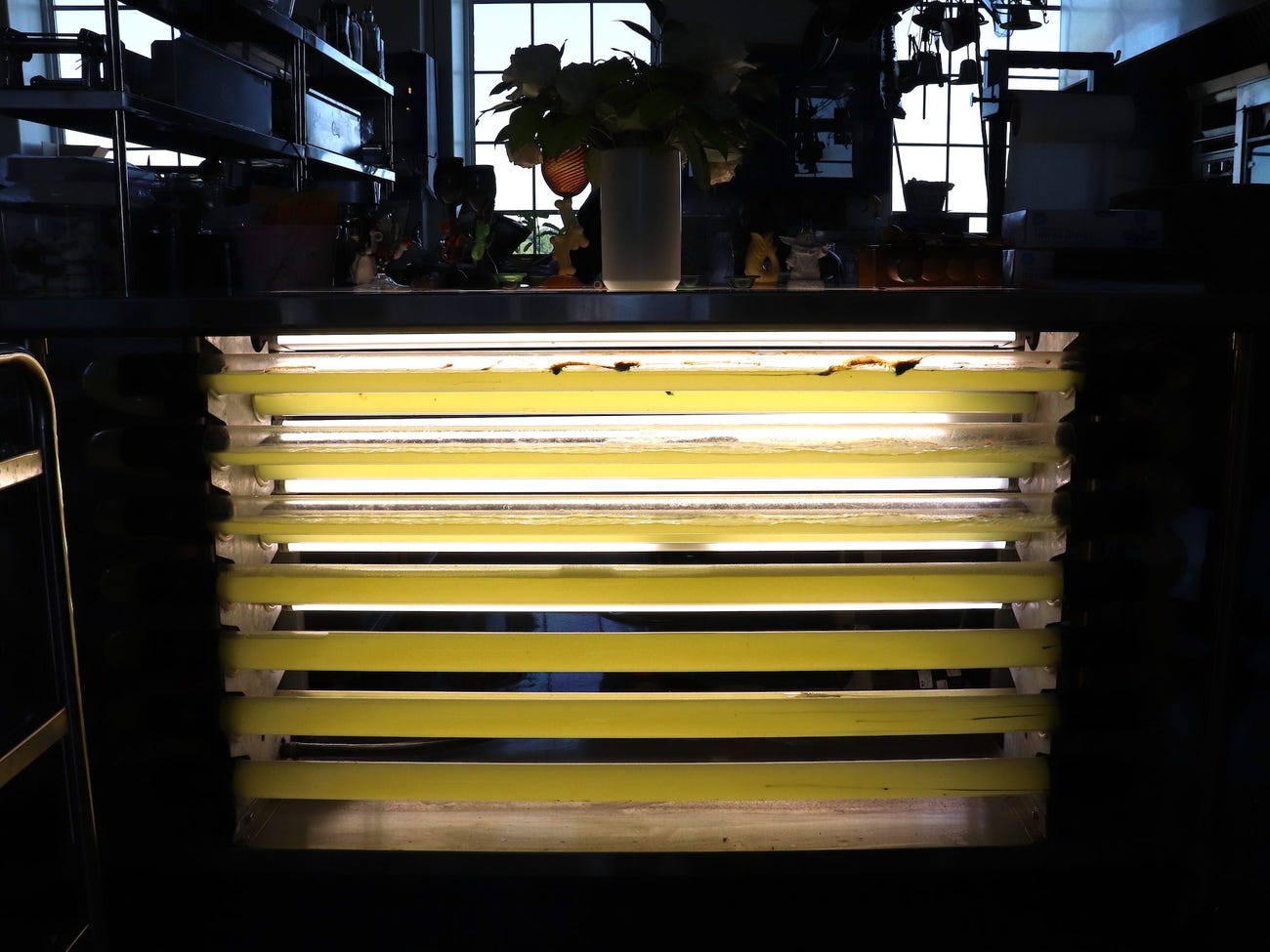 yellow counter with glass tubes full of dark algae running along the side