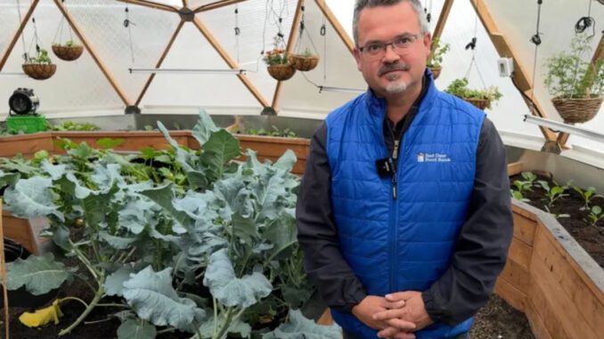 greenhouses helping food banks