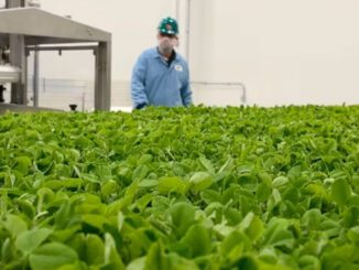 large-scale indoor farming