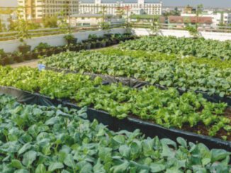 ohio urban agriculture