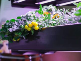 home hydroponics growing unit