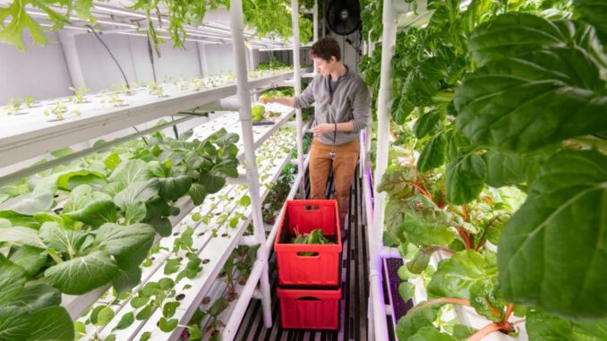 yukon-hydroponics-food-security yukon hydroponics food security