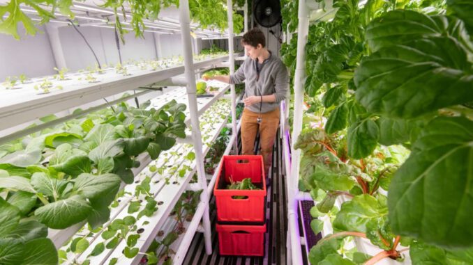 yukon hydroponics food security