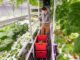 yukon hydroponics food security