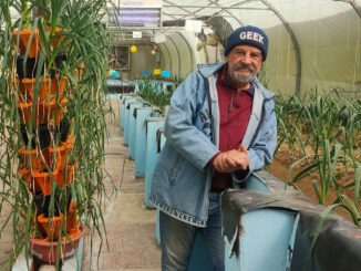 aquaponics egypt