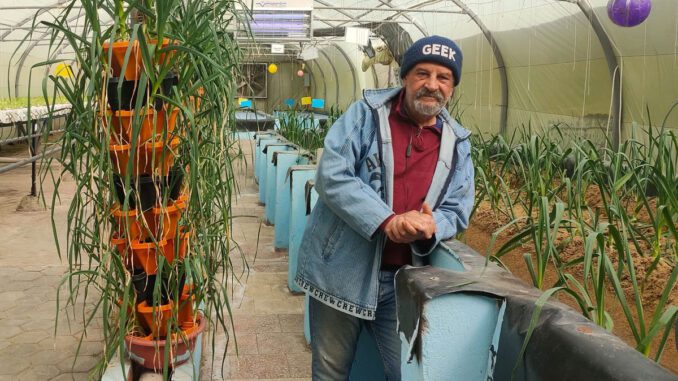 aquaponics egypt