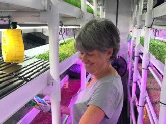 microgreens farmer