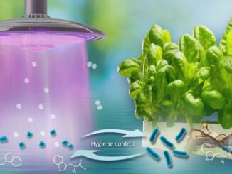 plasma hydroponic crop disinfection