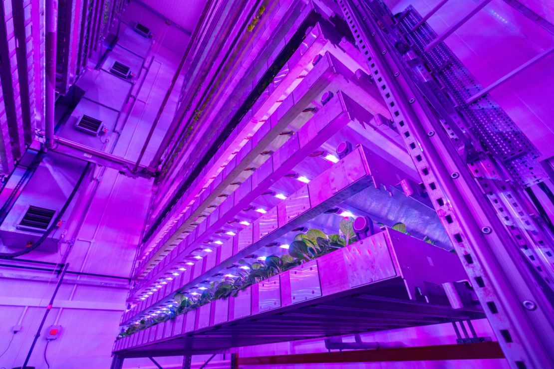 The growth towers employ hydroponics and LED lights to grow plants indoors.