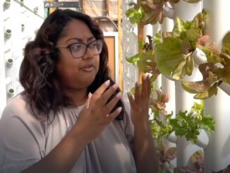 non profit aquaponics farming