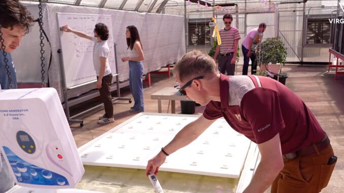 virginia tech hydroponics courses